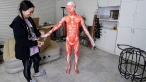 Human’s Anatomical Model Packed Inside Cardboard Box after Gets Mummified