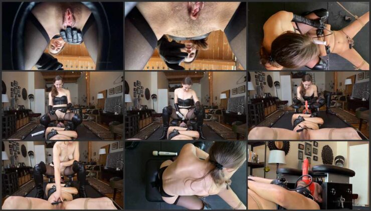 Dildo Holder, Bondage and Sensual Femdom Worship Box