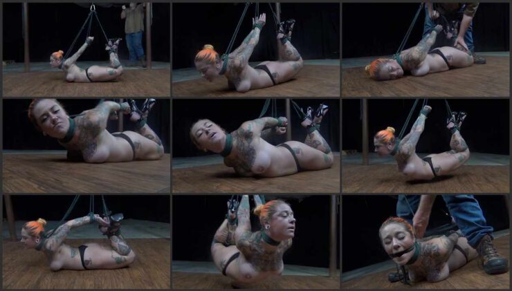 Lovely hogtie Quinn with rope around her neck