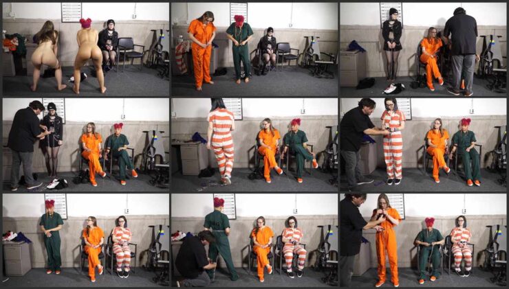 Arrest of two offenders Ophelia and Jayda Part 4