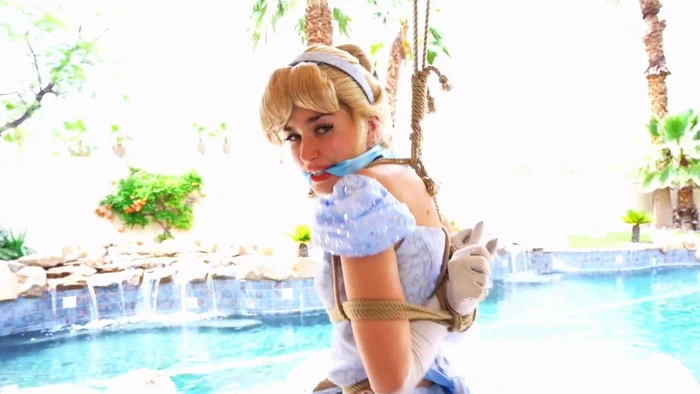 Cinderella Corrupted Cosplay