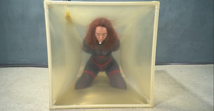 Bondage with red ropes in a transparent vacuum cube