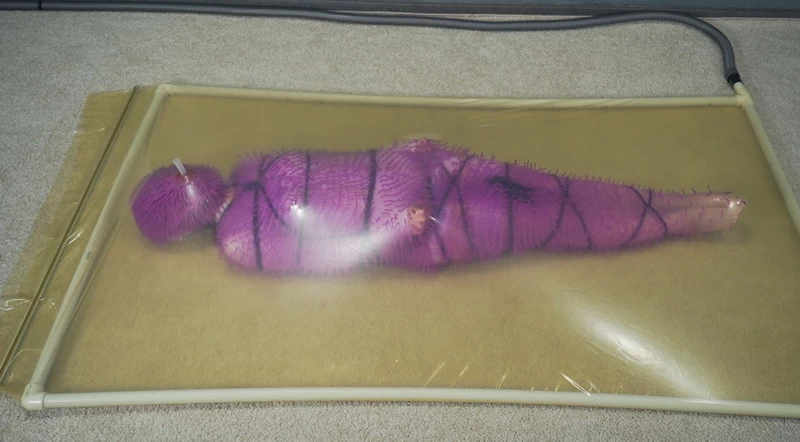 The Purple Virus Part 3