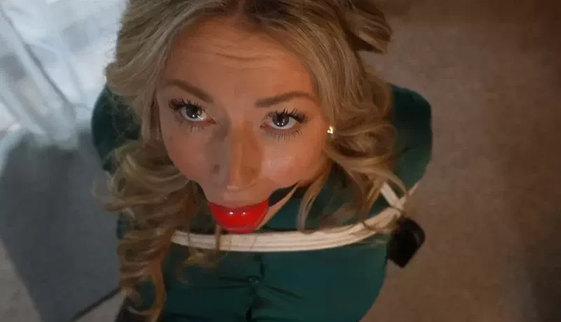 An attractive businesswoman in a complicated situation