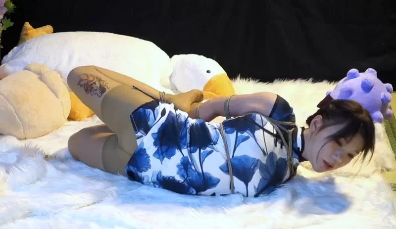 Asian Beauty Hogtied