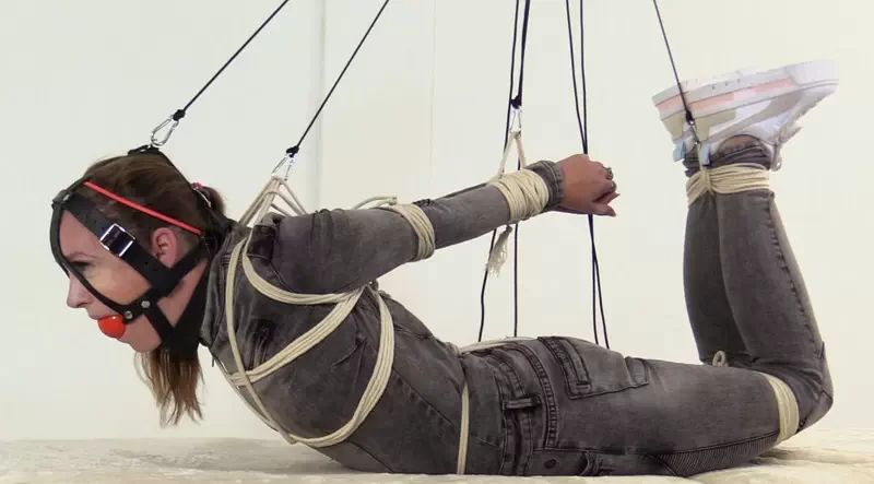 Extreme hogtie in ratchet pulleys and shock collar