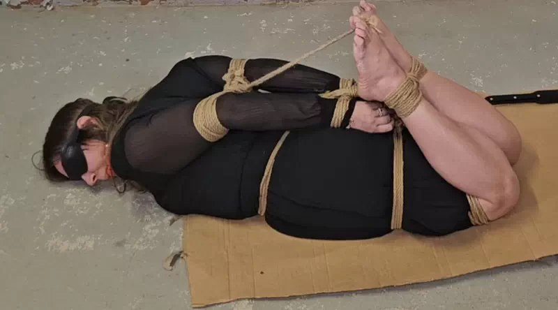 His basement captive