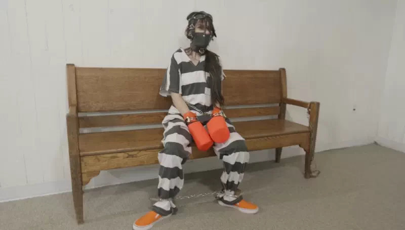 Ziva taken by the government