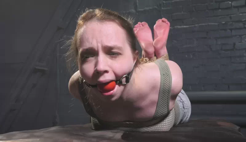 Bastinado and Foot Domination for Arina