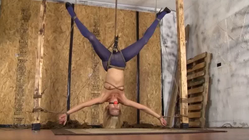 Bella’s Special Arrangement