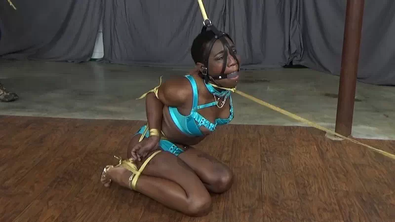 Noir Solid Gold In Turquios