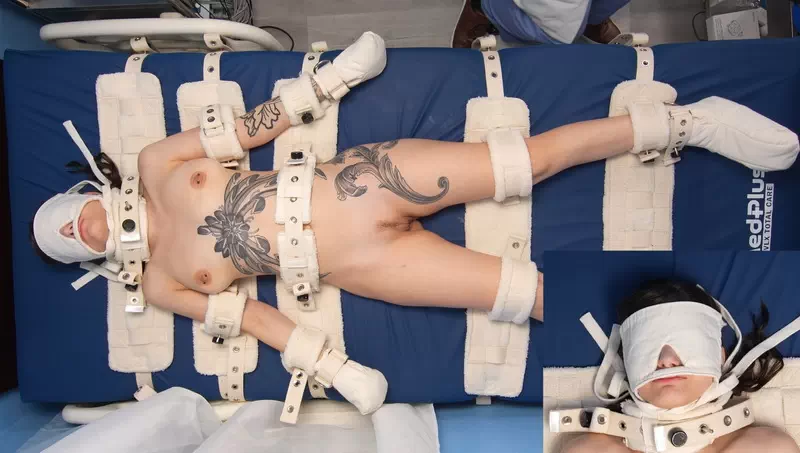 Obedience Training for Josie