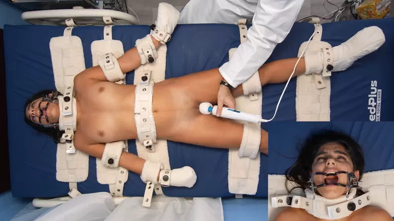 Obedience Training for Misty