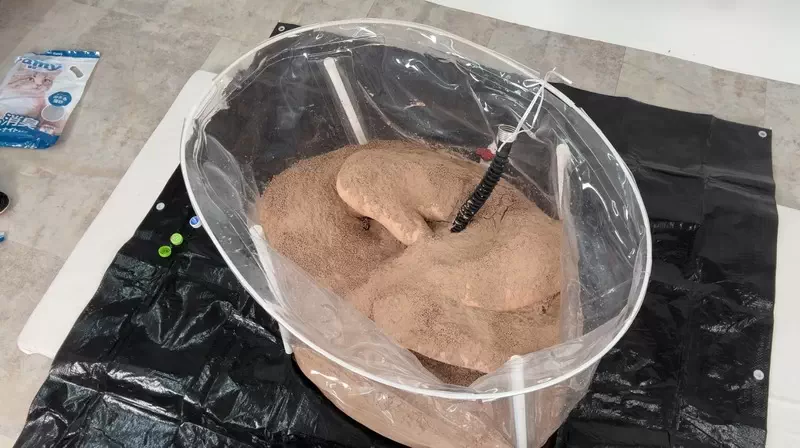 Submissive boy Bound in Cat Litter!?