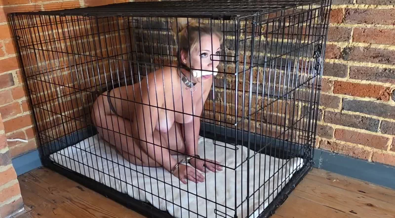 Pet Hogcuff Training