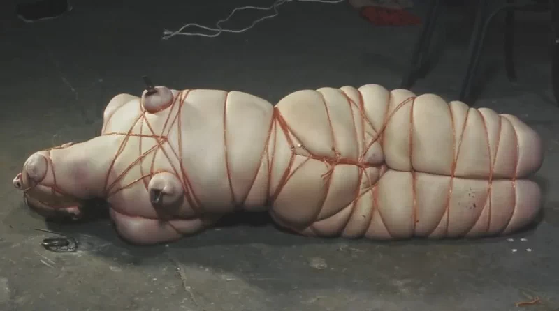 Diamondly Twine Hogtie