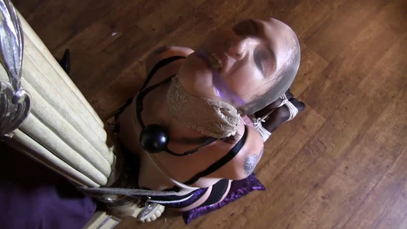 Lots of gags & a tight elbow tie hogtie