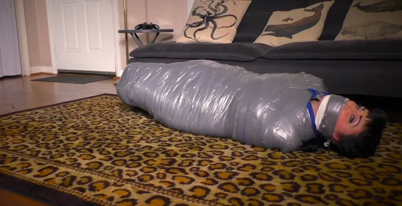 Nyxon Cat Burglar Caught, Punished and Mummification