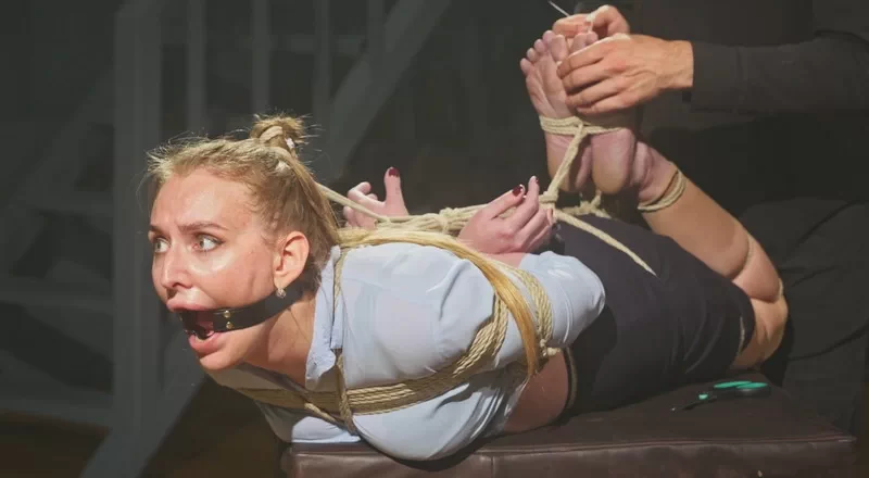 Secretary Bondage and Discipline Training
