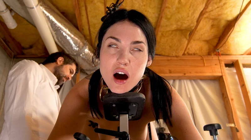 Breeder bitch insemination Reese