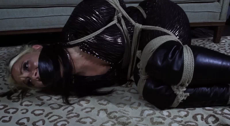 Bad Night Out Leads to Bondage Forever